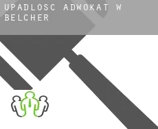 Upadłość adwokat w  Belcher