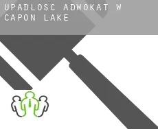 Upadłość adwokat w  Capon Lake