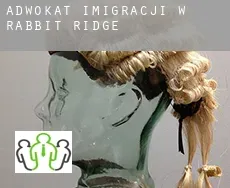 Adwokat imigracji w  Rabbit Ridge