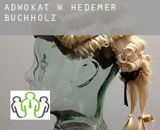 Adwokat w  Hedemer Buchholz