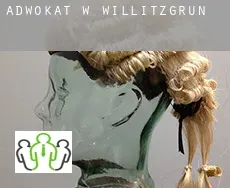 Adwokat w  Willitzgrün