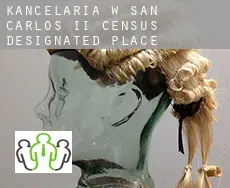 Kancelaria w  San Carlos II