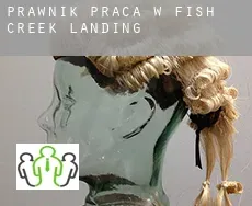 Prawnik praca w  Fish Creek Landing