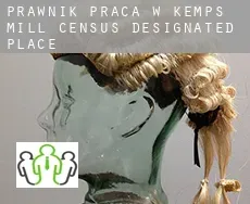 Prawnik praca w  Kemps Mill