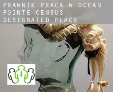 Prawnik praca w  Ocean Pointe