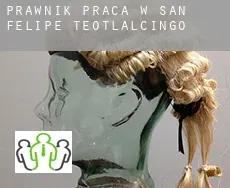 Prawnik praca w  San Felipe Teotlalcingo