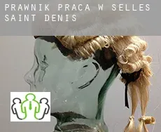 Prawnik praca w  Selles-Saint-Denis