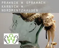 Prawnik w sprawach karnych w  Nordmentzhausen