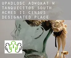Upadłość adwokat w  Tanquecitos South Acres II