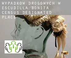 Wypadków drogowych w  Escudilla Bonita