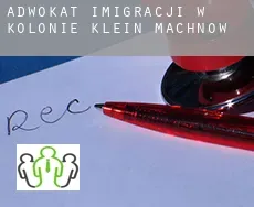 Adwokat imigracji w  Kolonie Klein Machnow