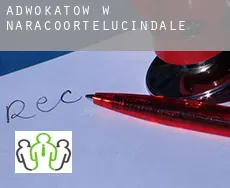 Adwokatów w  Naracoorte and Lucindale
