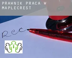 Prawnik praca w  Maplecrest
