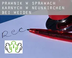 Prawnik w sprawach karnych w  Neunkirchen bei Weiden
