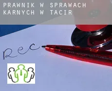 Prawnik w sprawach karnych w  Tacir