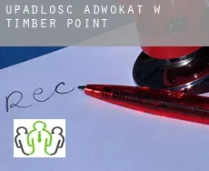 Upadłość adwokat w  Timber Point