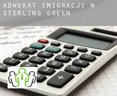 Adwokat imigracji w  Sterling Green