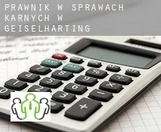 Prawnik w sprawach karnych w  Geiselharting