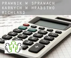 Prawnik w sprawach karnych w  Hrabstwo Richland