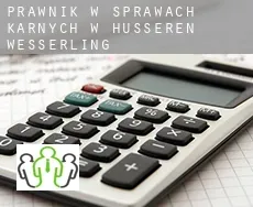 Prawnik w sprawach karnych w  Husseren-Wesserling