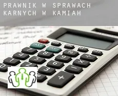 Prawnik w sprawach karnych w  Kamiah