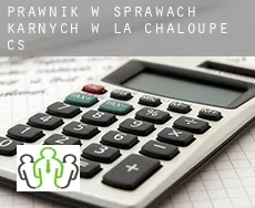 Prawnik w sprawach karnych w  Chaloupe (census area)