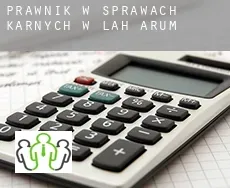 Prawnik w sprawach karnych w  Lah-arum