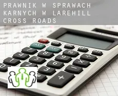 Prawnik w sprawach karnych w  Larehill Cross Roads