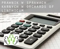Prawnik w sprawach karnych w  Orchards of Linthicum