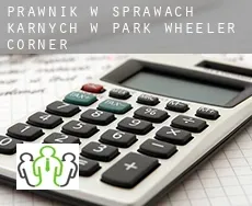 Prawnik w sprawach karnych w  Park Wheeler Corner