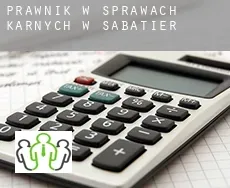 Prawnik w sprawach karnych w  Sabatier