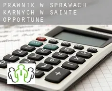 Prawnik w sprawach karnych w Sainte-Opportune