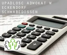 Upadłość adwokat w  Eckendorf-Schwabedissen