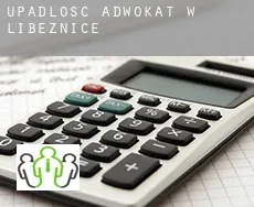 Upadłość adwokat w  Líbeznice