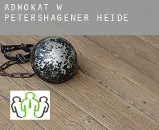 Adwokat w  Petershagener Heide