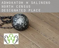 Adwokatów w  Salineno North