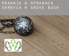 Prawnik w sprawach karnych w  Grove Bush