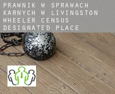 Prawnik w sprawach karnych w  Livingston Wheeler