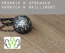 Prawnik w sprawach karnych w  Raillimont
