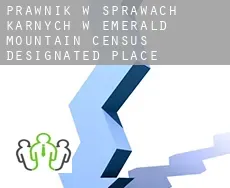 Prawnik w sprawach karnych w  Emerald Mountain