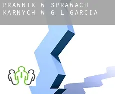Prawnik w sprawach karnych w  G. L. Garcia