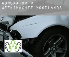 Adwokatów w  Weekiwachee Woodlands