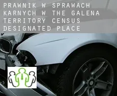 Prawnik w sprawach karnych w  The Galena Territory