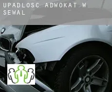 Upadłość adwokat w  Sewal