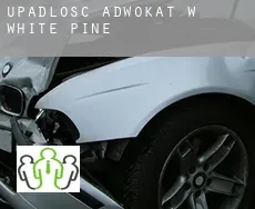 Upadłość adwokat w  White Pine