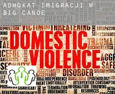 Adwokat imigracji w  Big Canoe