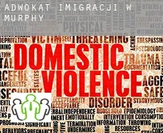 Adwokat imigracji w  Murphy