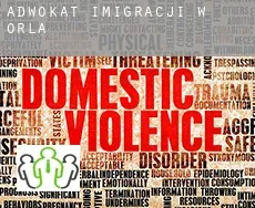 Adwokat imigracji w  Orla