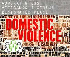 Adwokat w  Los Veteranos I