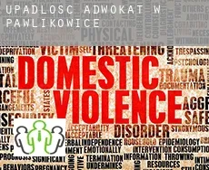 Upadłość adwokat w  Pawlikowice